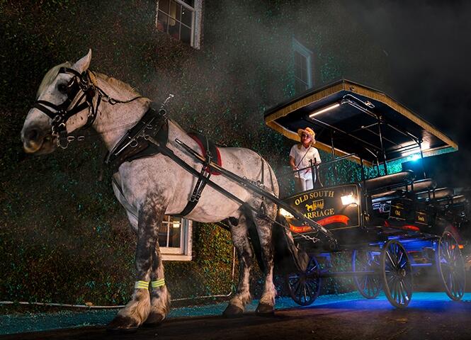 Experience the thrill: Charleston's Premier Haunted Carriage Tour comes to life.