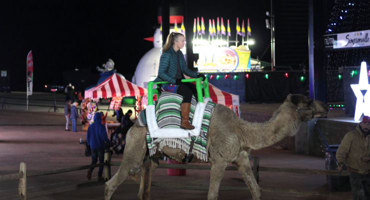 Unique holiday attractions — a playful seasonal experience.